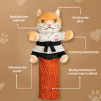 Karate Kitty
